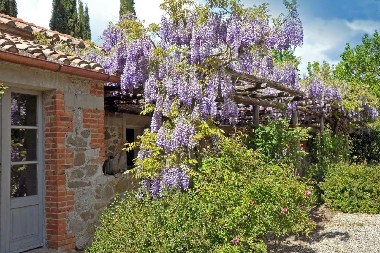 Chiarentana Di Donata Origo Βίλα Chianciano Terme Εξωτερικό φωτογραφία